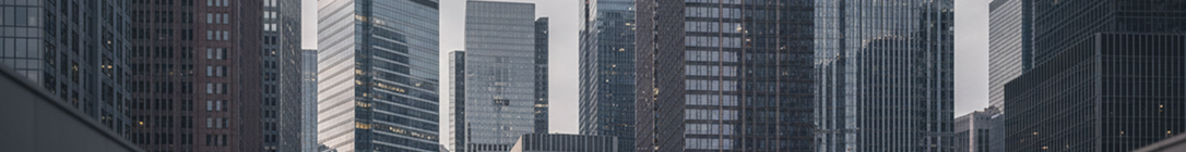 scodedex-ki-auswertung