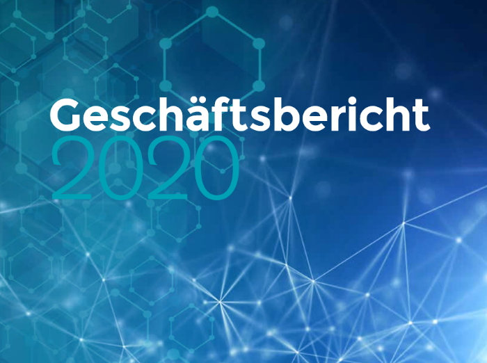 Geschäftsbericht 2020 - JDC Group AG