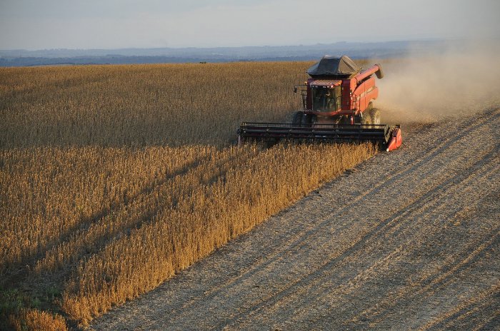 Paraguay Exporte - Proindex Capital AG informiert