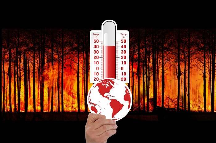 Paraguay aktuell - Zeichen gegen den Klimawandel
