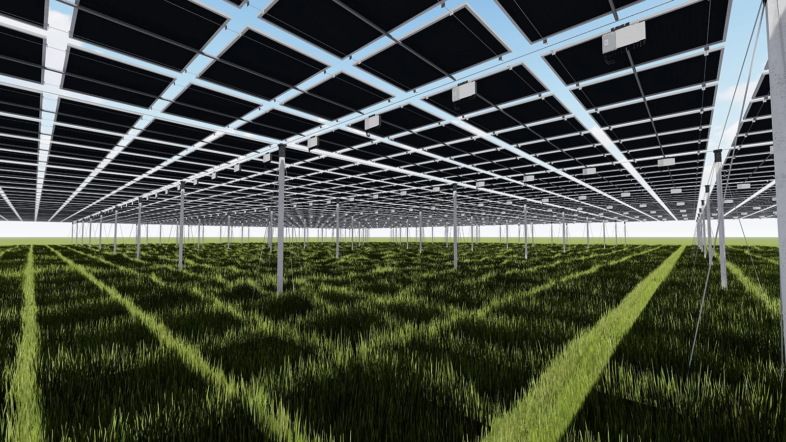 TerraFlex – das ökonomische Agri-PV-System von MABEWO (Make a better World)