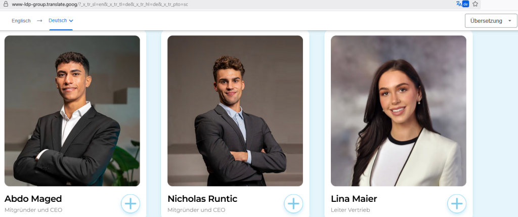 LDP Group - Screenshot Webseite