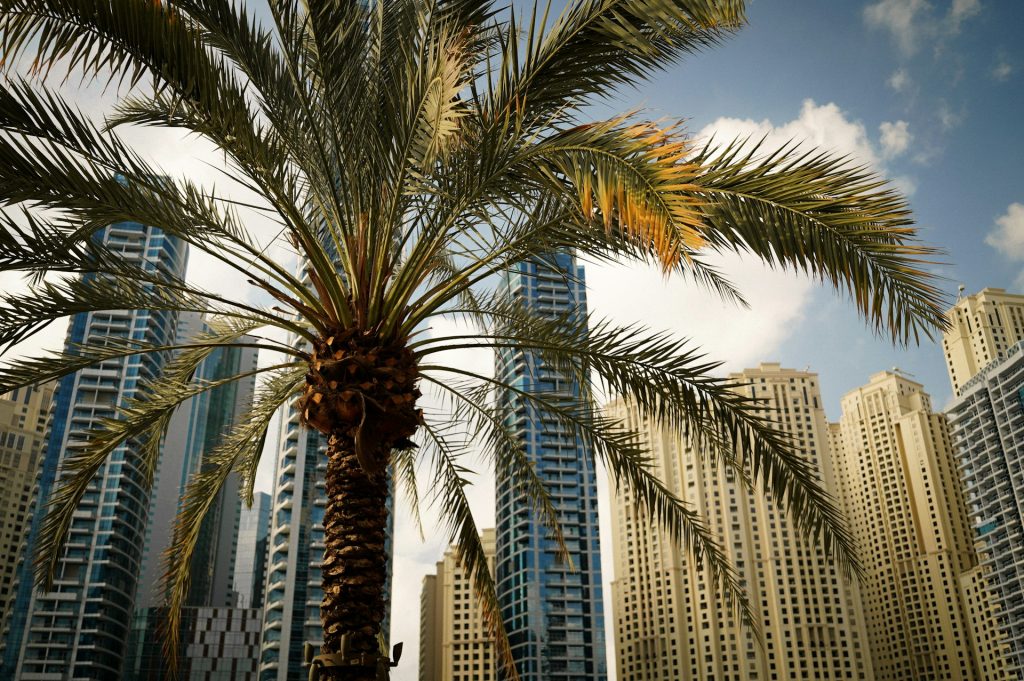 Wie Dubai Immobilien Käufer vor Ort begleitet
